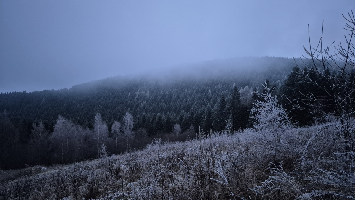 5db74b2c-aaaa-40c5-8895-1622b8576882