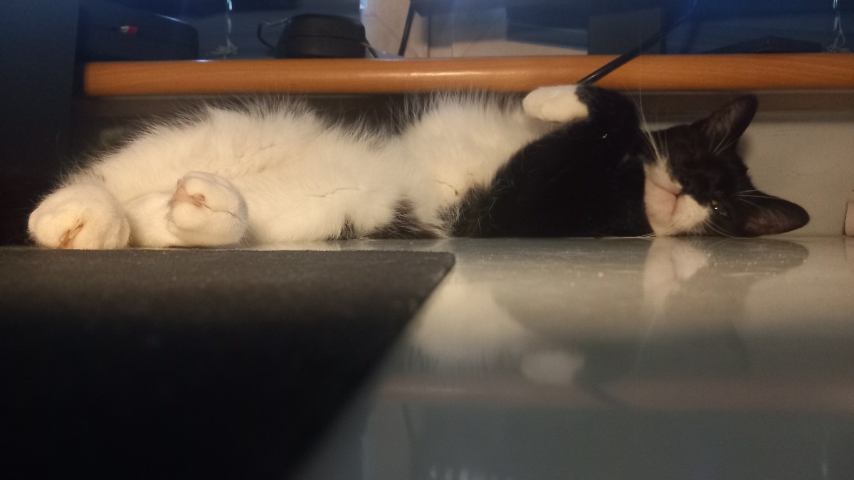 76efe417-8781-4e2c-9aec-993a24b8bbf0