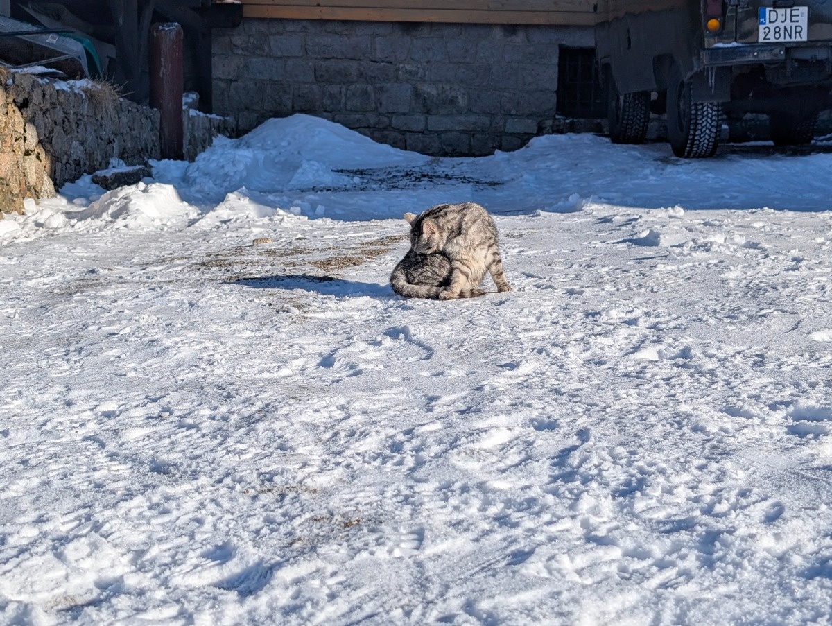 762e12a9-0b30-4e79-99ac-4d18fb6ddb8a