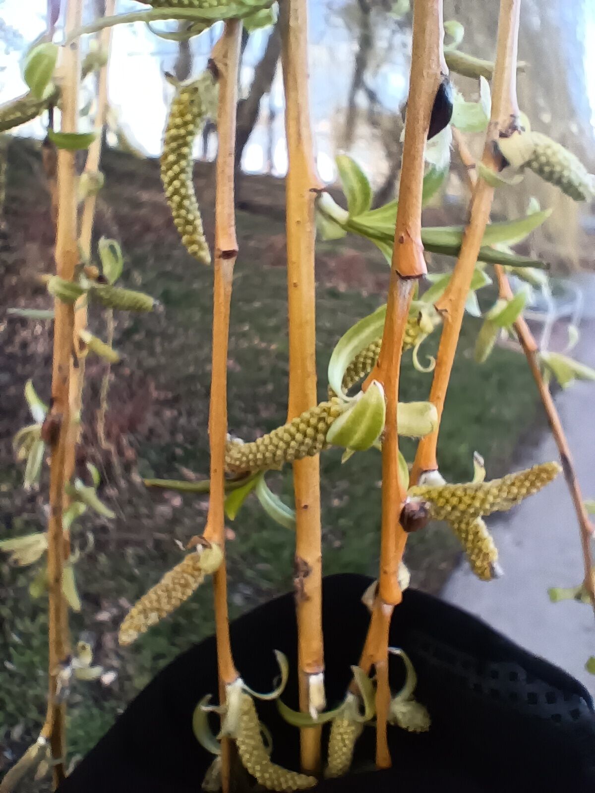 506212b4-78dd-42cb-ac19-d17ab06ba8dc