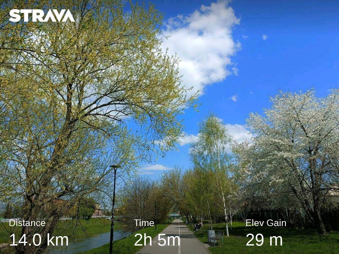 a44ed290-6923-49ea-a259-bb336f449bf3