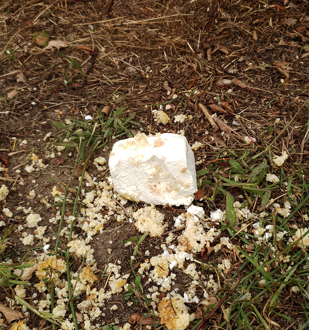 580577a6-f840-4ccf-81e8-a5e855479512