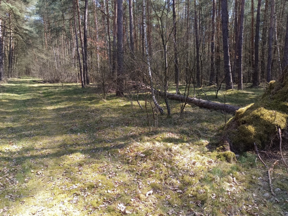 9bcb3ffb-f0c3-4e13-929b-ae760dcd315c