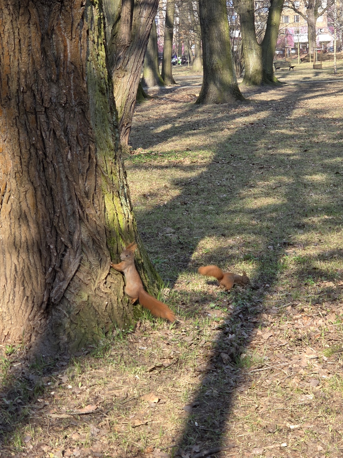 a2f3b2ed-5073-497c-a37c-42497548e1de