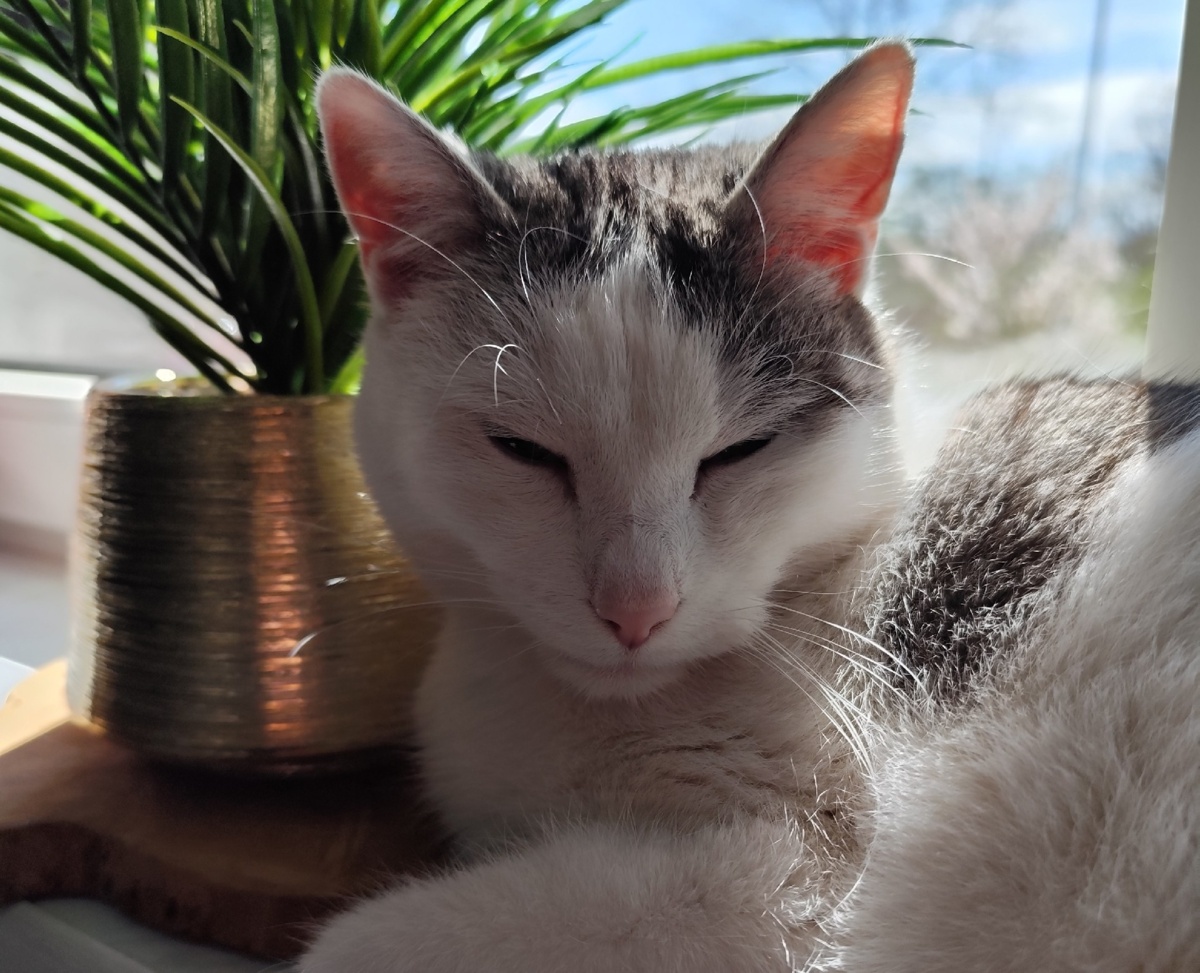 d0bd2390-a942-4d48-8c57-2c8ebc209e0f