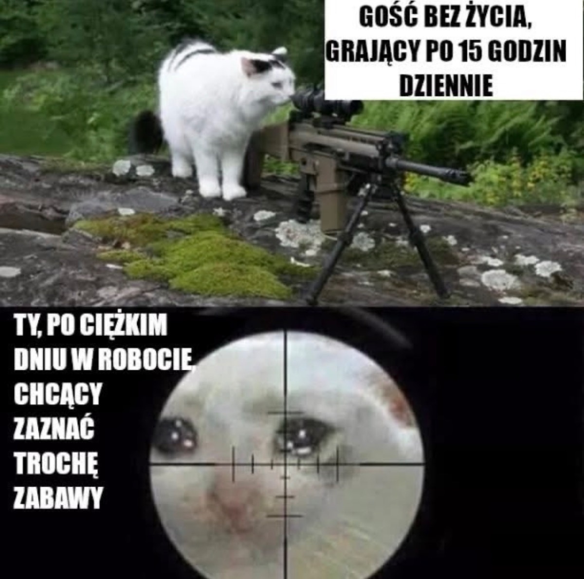 ef366f37-b8ae-4006-8cc2-d18907c2a5a7