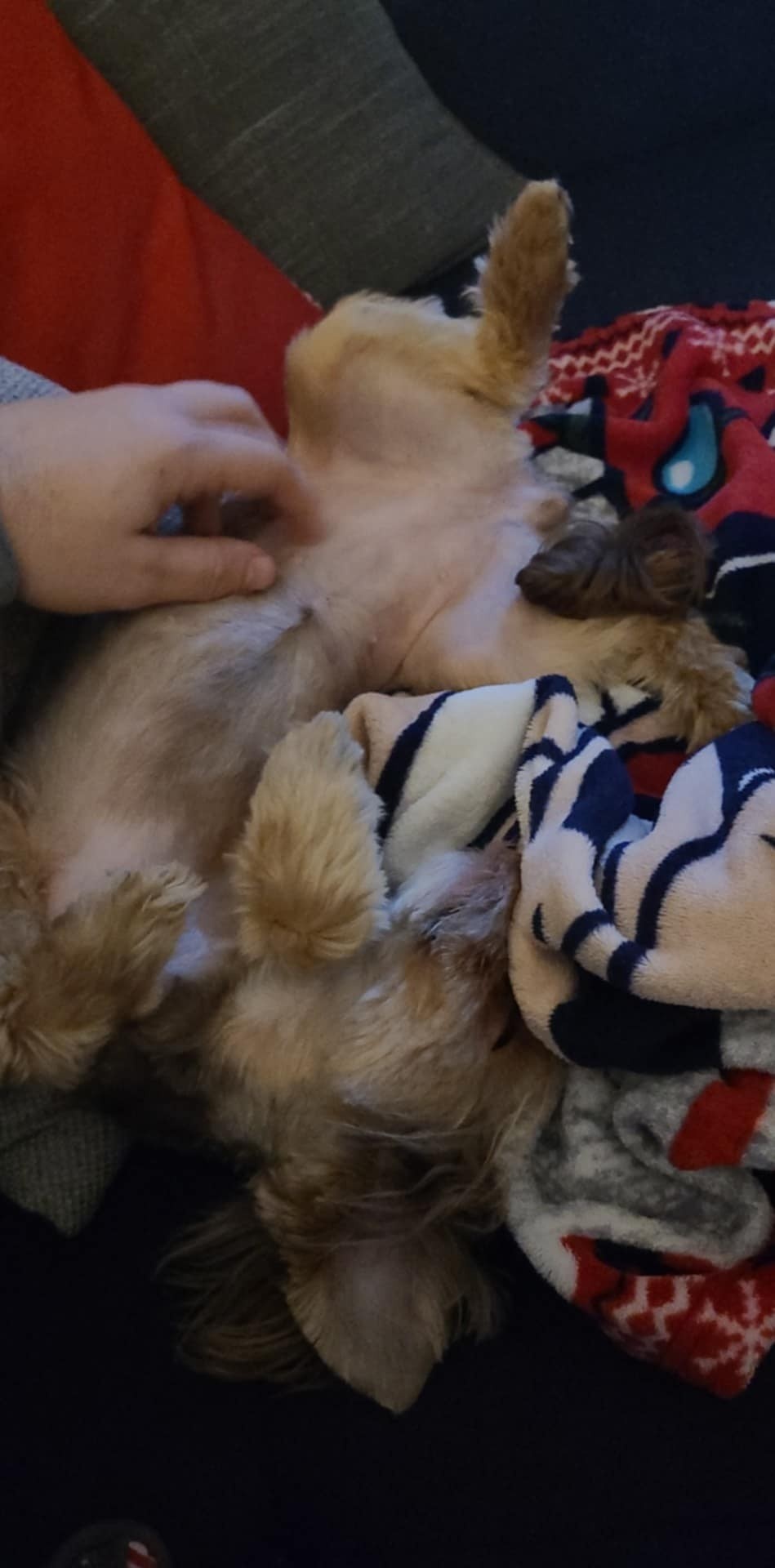 5b9c4e5d-ae7e-43f8-8197-7c440a886940