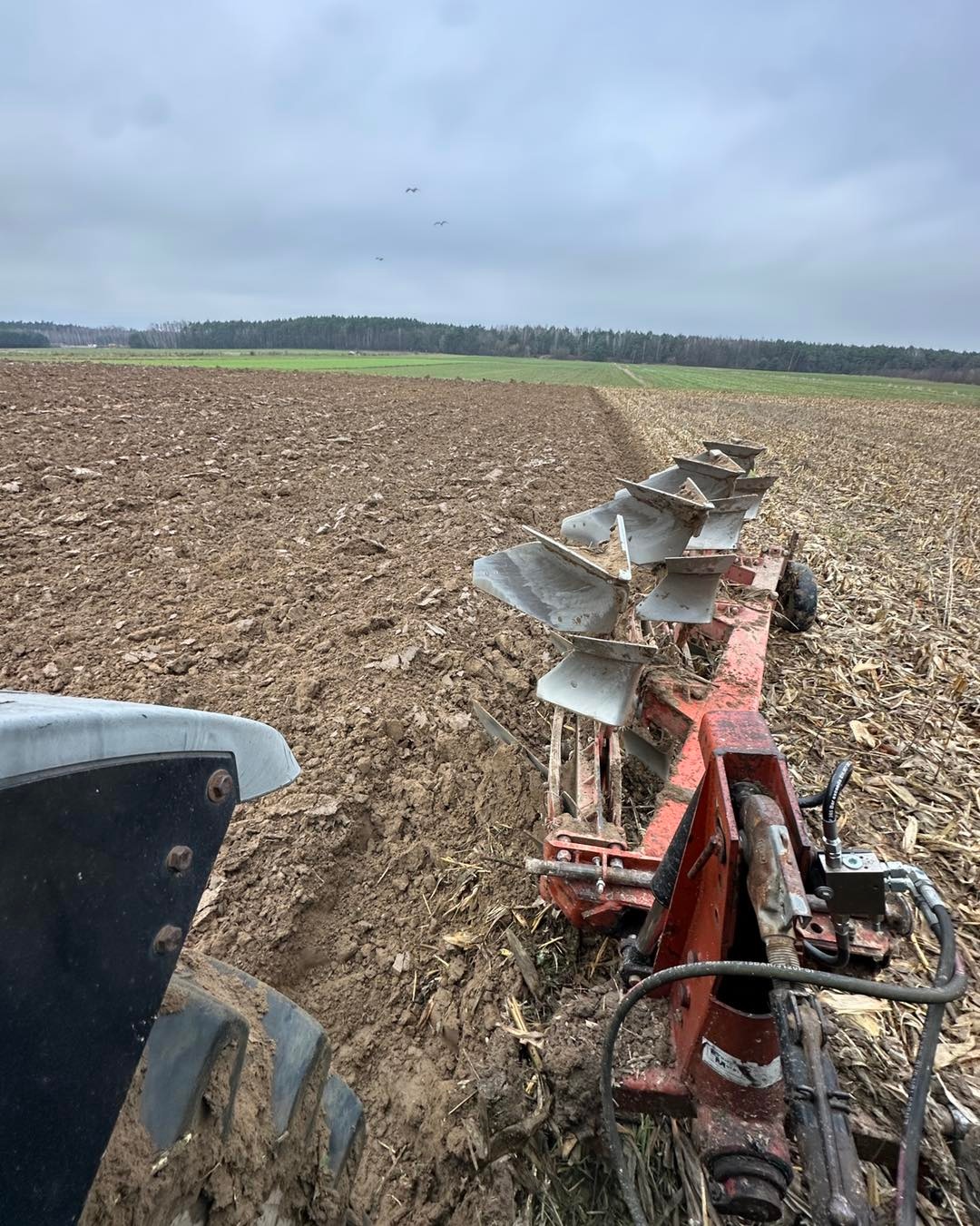 15e14557-96d0-4362-8223-c010585a295e