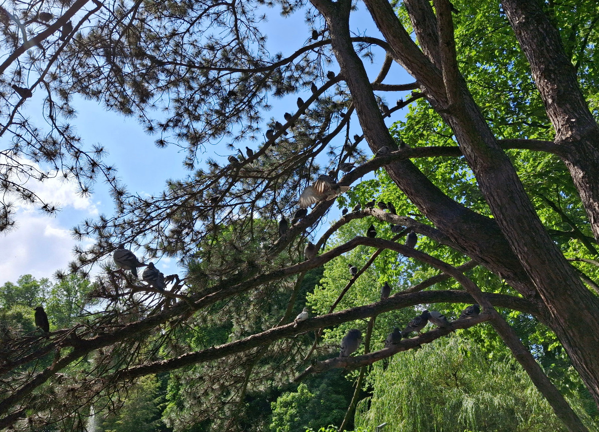 7b923276-d964-49a7-a201-8572353794a7