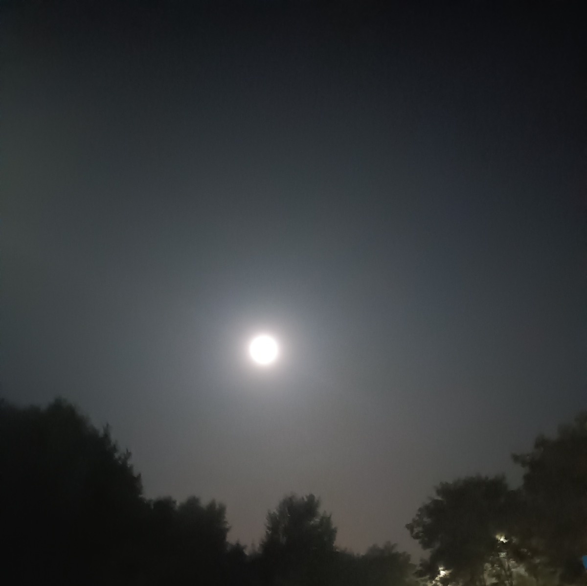 113a5485-53db-414c-8bb9-5c457120b5d5