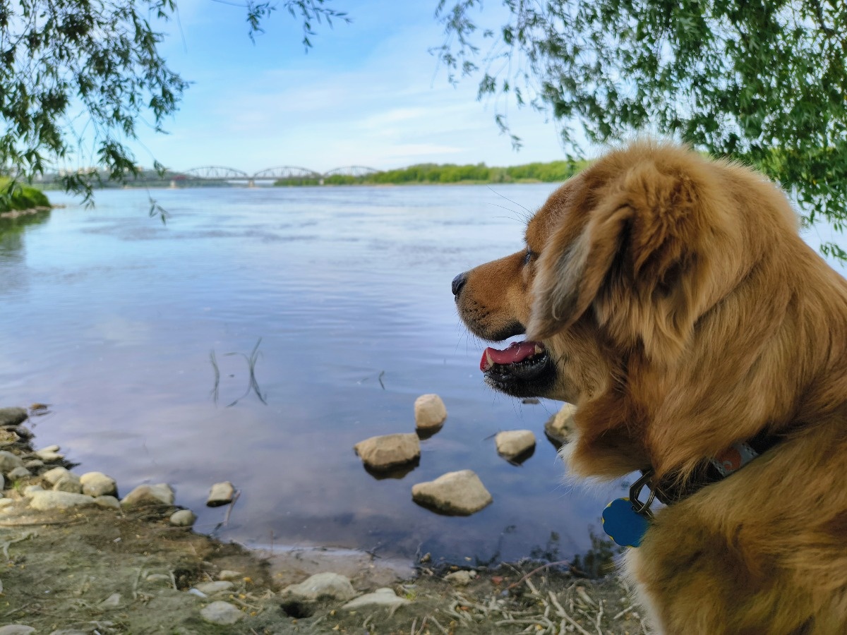 e72861d4-6d97-436d-901e-3c981ad16369