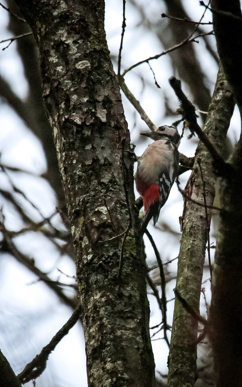 718d0349-c855-42fa-999c-f1232e568a1a