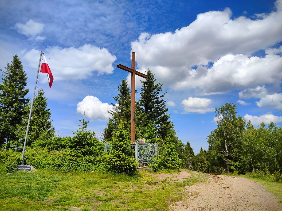 f0255ab8-183a-45ea-9aa6-d537c1996c56