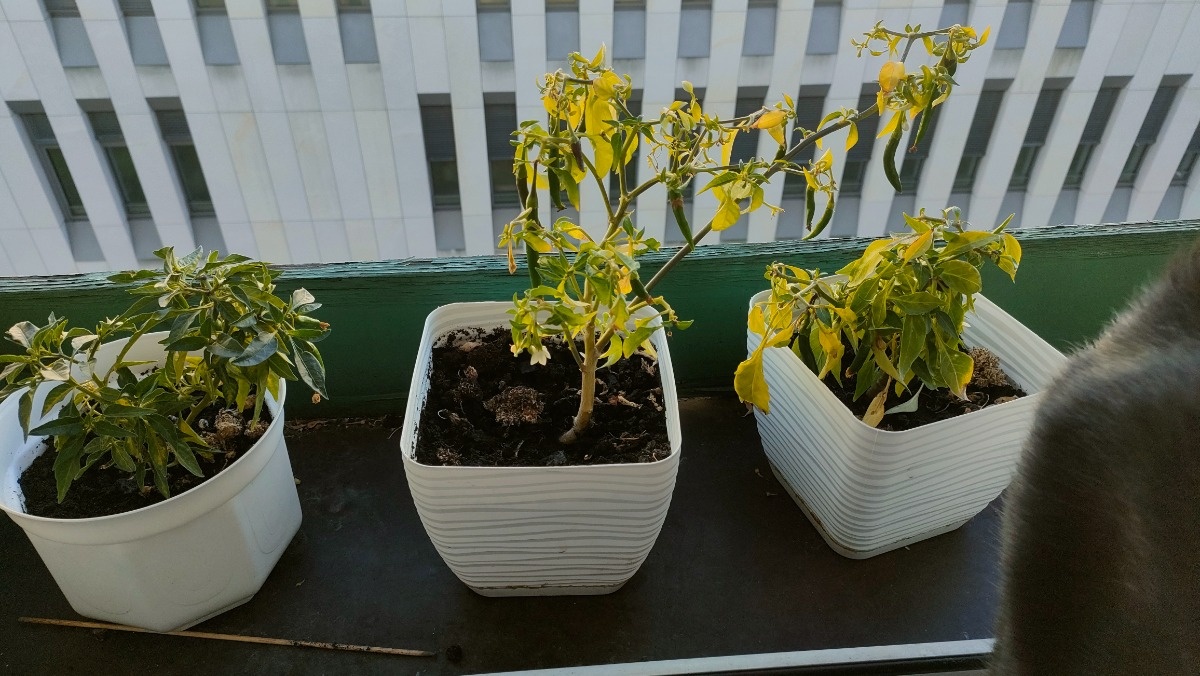 6fbec959-77ef-4a5f-848b-1e473af4066a