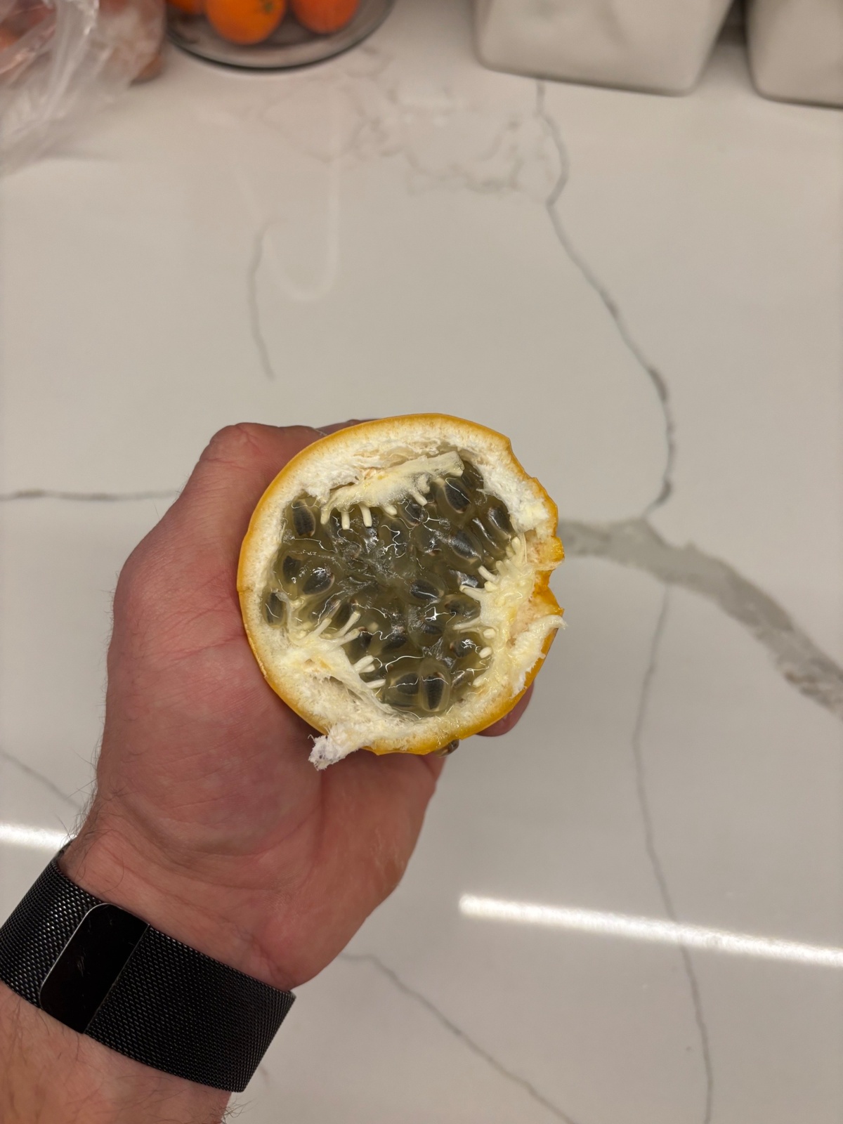 f01f079a-a35c-4c33-aeec-20031322e254