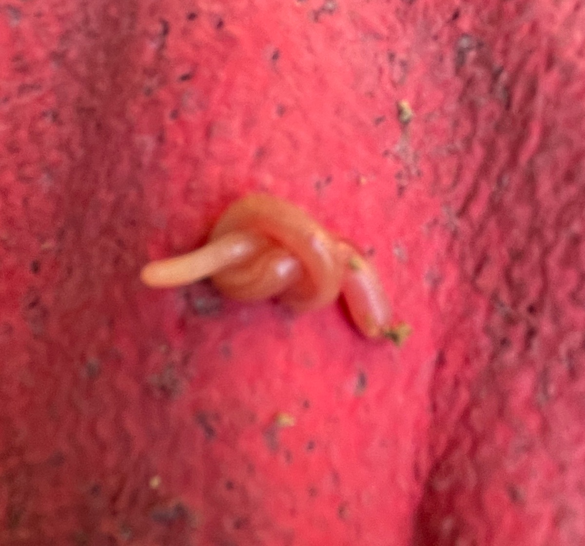 72f00b0d-2587-4411-a4c2-12ba07374060