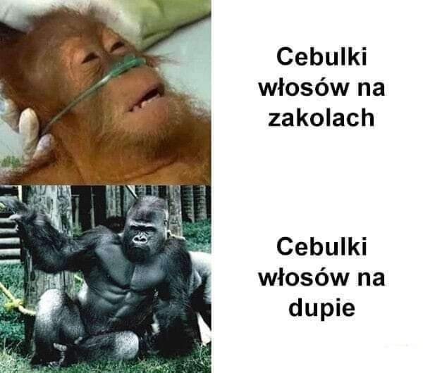 43d00402-d590-4282-aee4-0ca427fcfbad