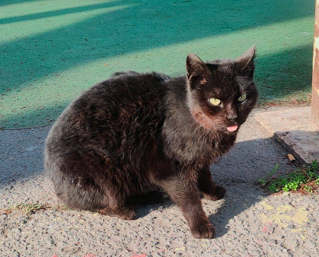 b953ad9e-b6b2-47cc-b711-9cc55b3ed594