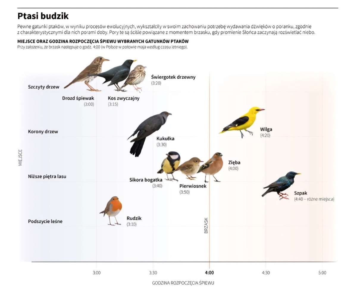 de219a93-eeb5-4fd7-9a69-fde4d981fd6b