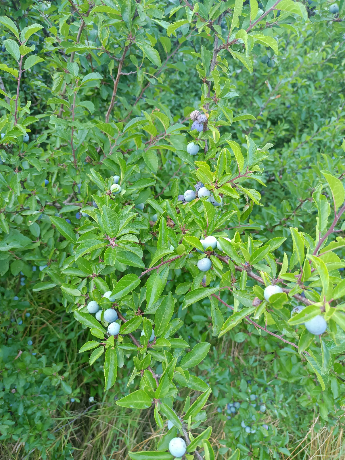 a3ffa3f6-7c6a-4486-beb0-6ce4525c2cd0