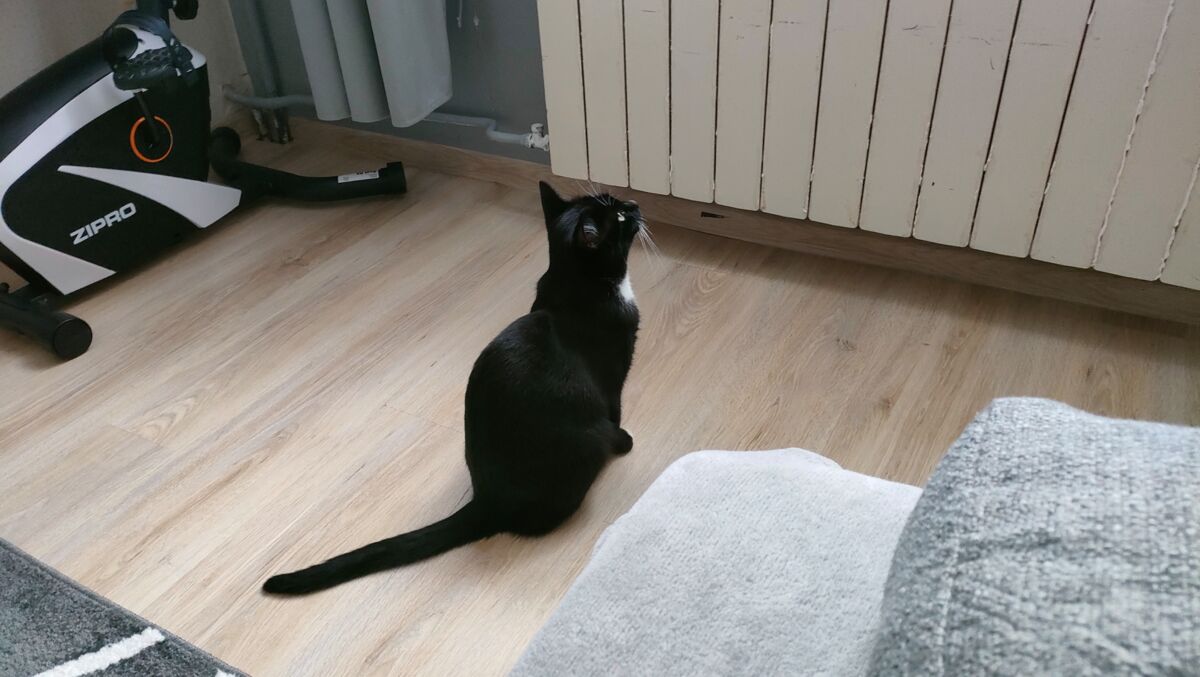 b775b5cc-7194-4a96-b72c-0231eacab51f