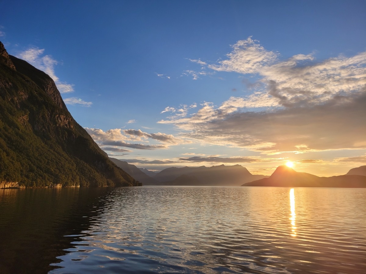 85bb6ca9-f3d1-4512-bee8-f5875b208baf