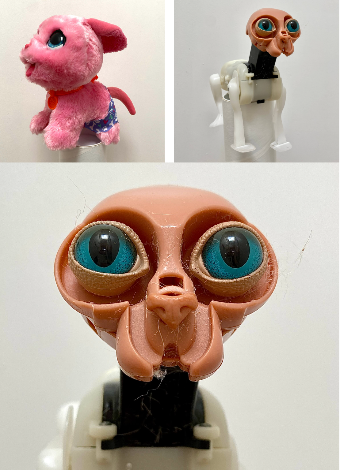 Roboty ukryte w pluszowych zabawkach.