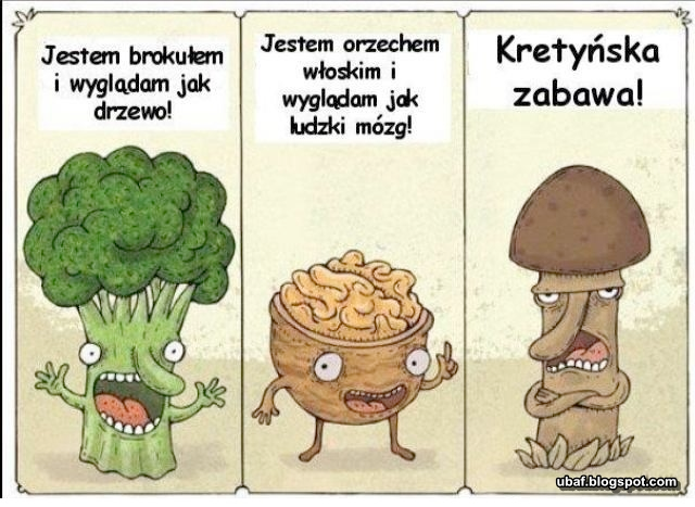 6939099f-6920-4895-a2af-c7cf4ea6df5c