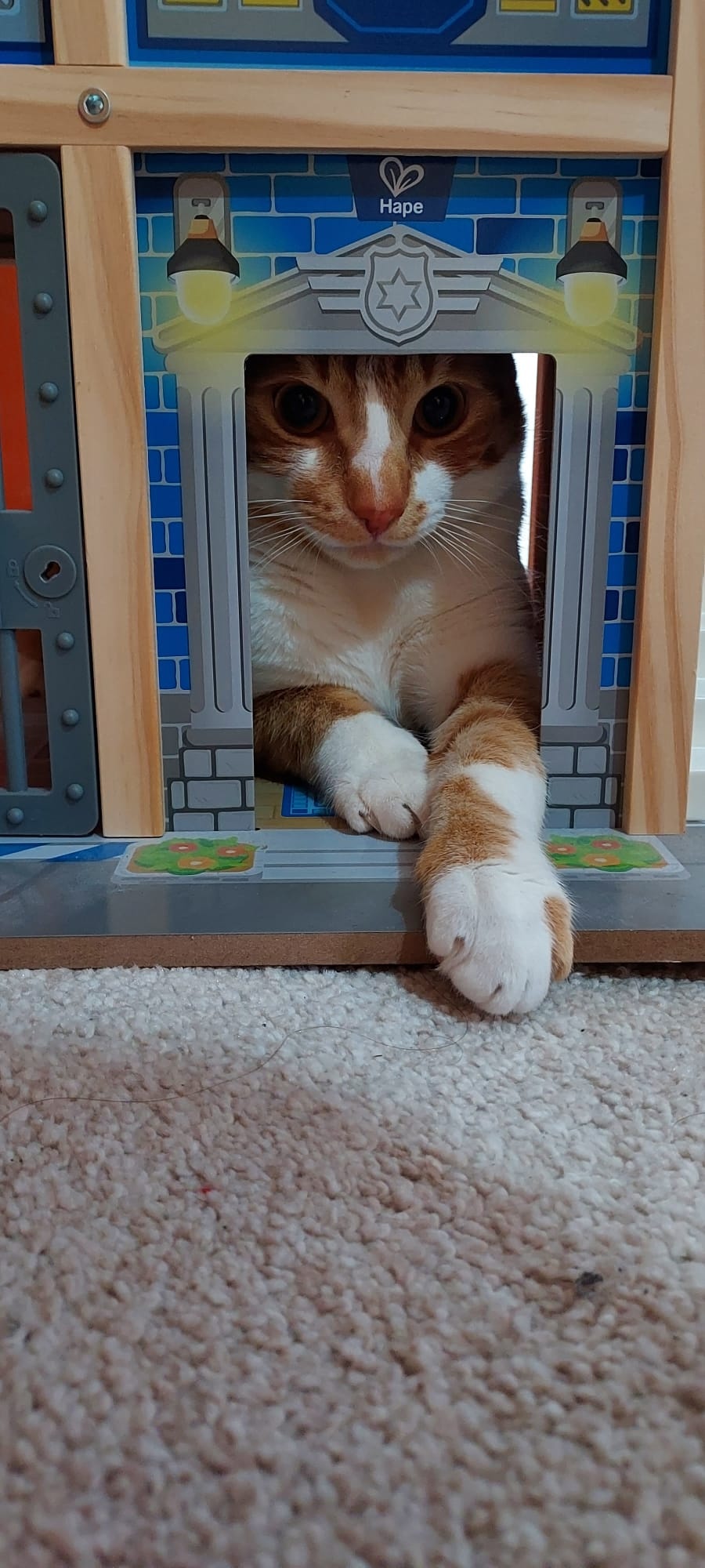 165f32c7-0548-4da3-b4d9-3d152149e495