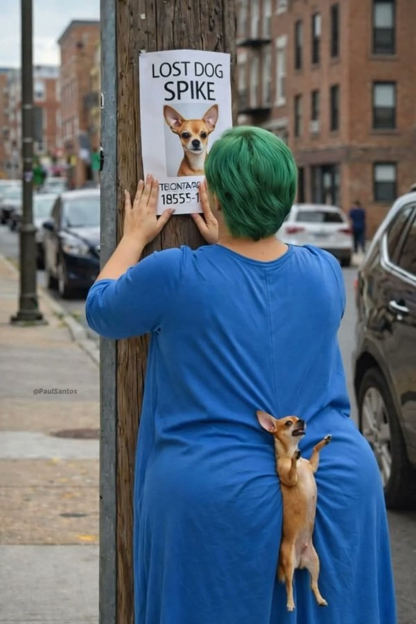 c177dc1f-8406-4b13-b053-4fd507528220