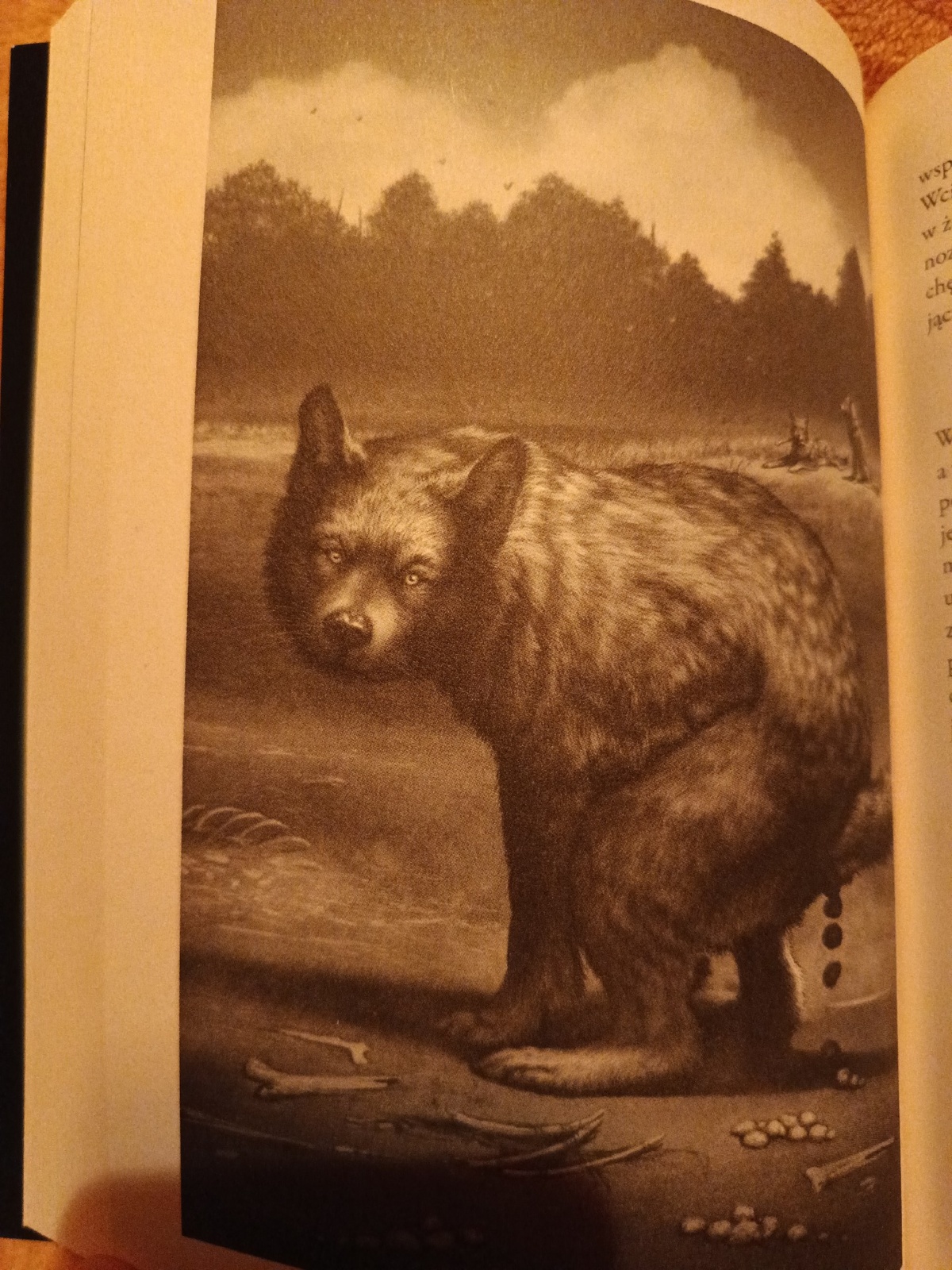 100b5c6d-59d3-4d40-85ba-9e2d75447c18