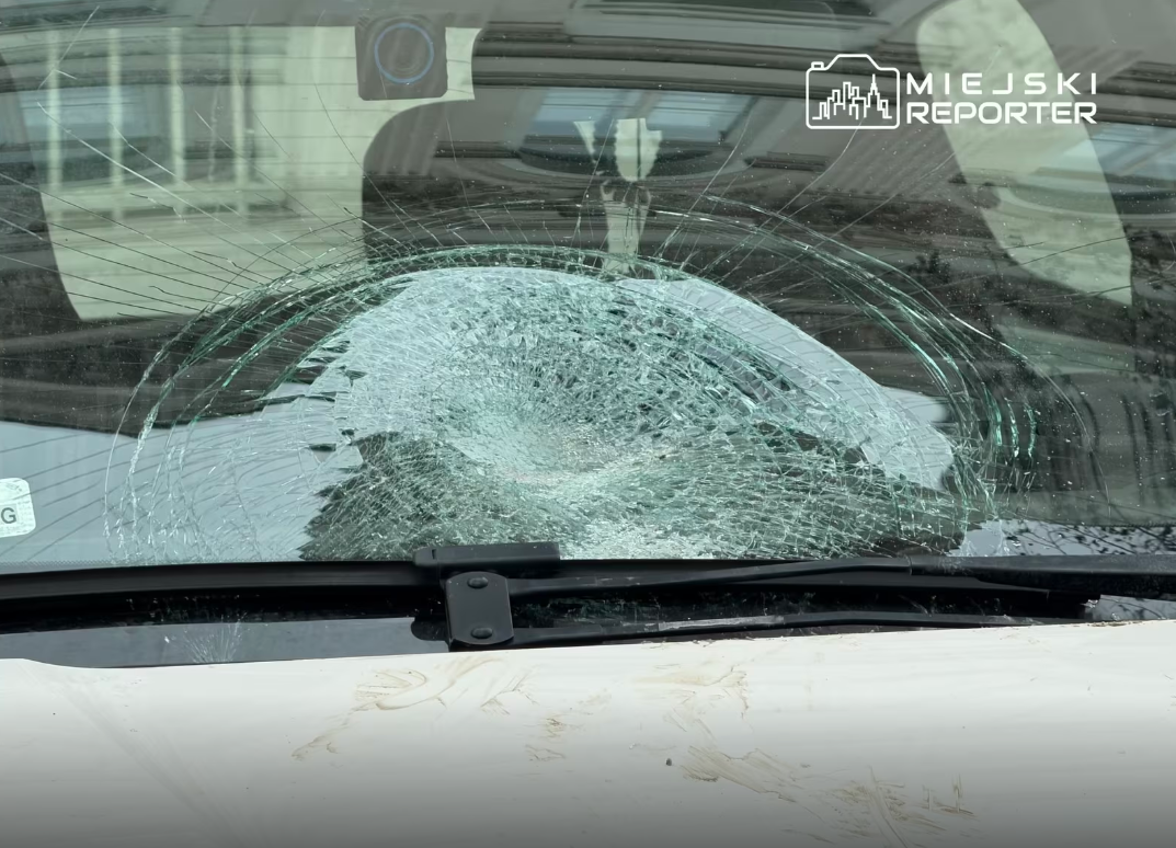 8fae6949-fae1-4d22-85e6-8f3e57cbaecb