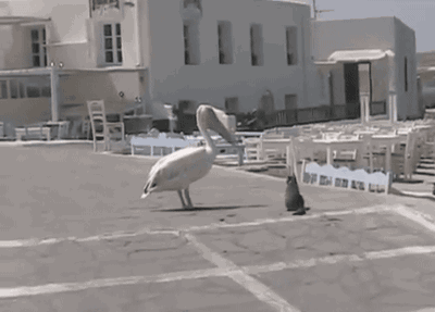 fd944c83-6c02-4fa2-8b93-efb48b171074