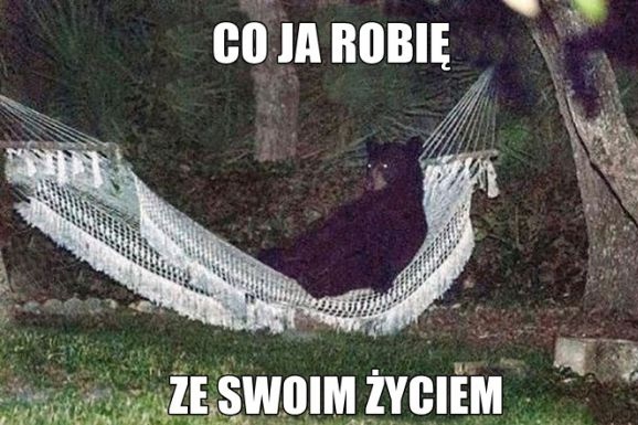 98d5737a-2a3e-410b-8fce-dcc58b9e6749