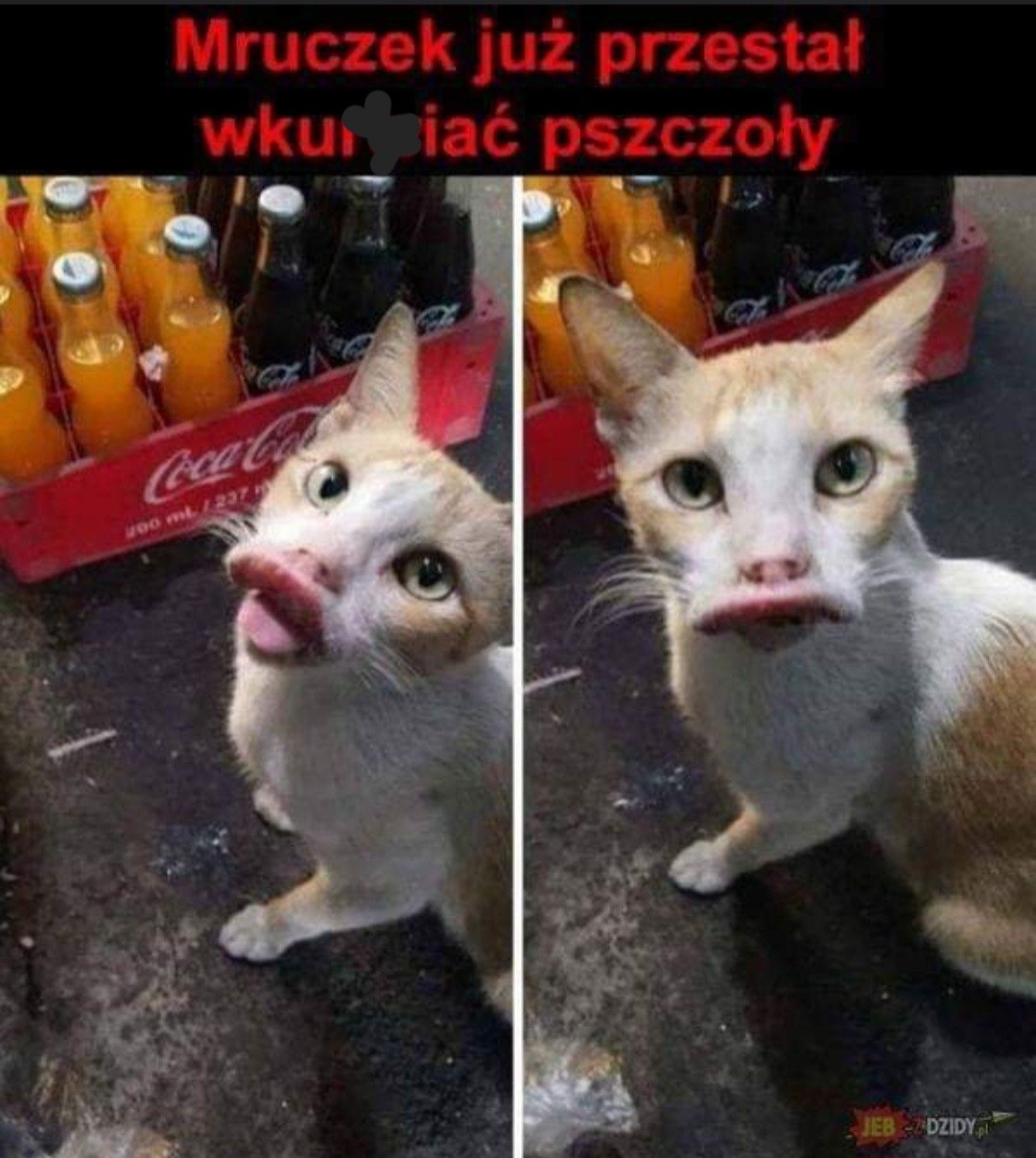 84fd3be7-f157-4141-ac98-218895b16220