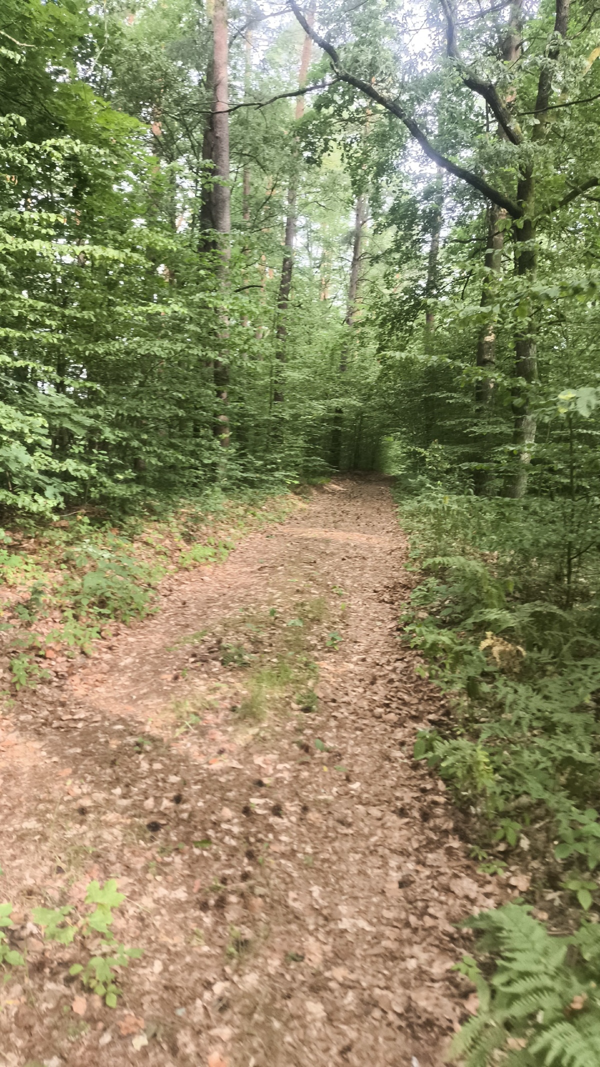 dfa613a5-b998-451e-a8ae-1c511db93b75