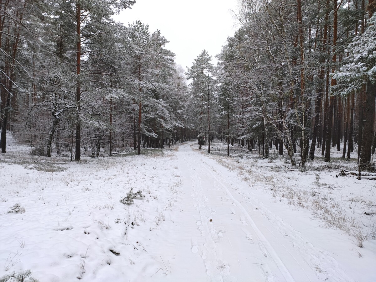 33e65740-a2e7-49be-ae57-cd8f6b7d5eb3