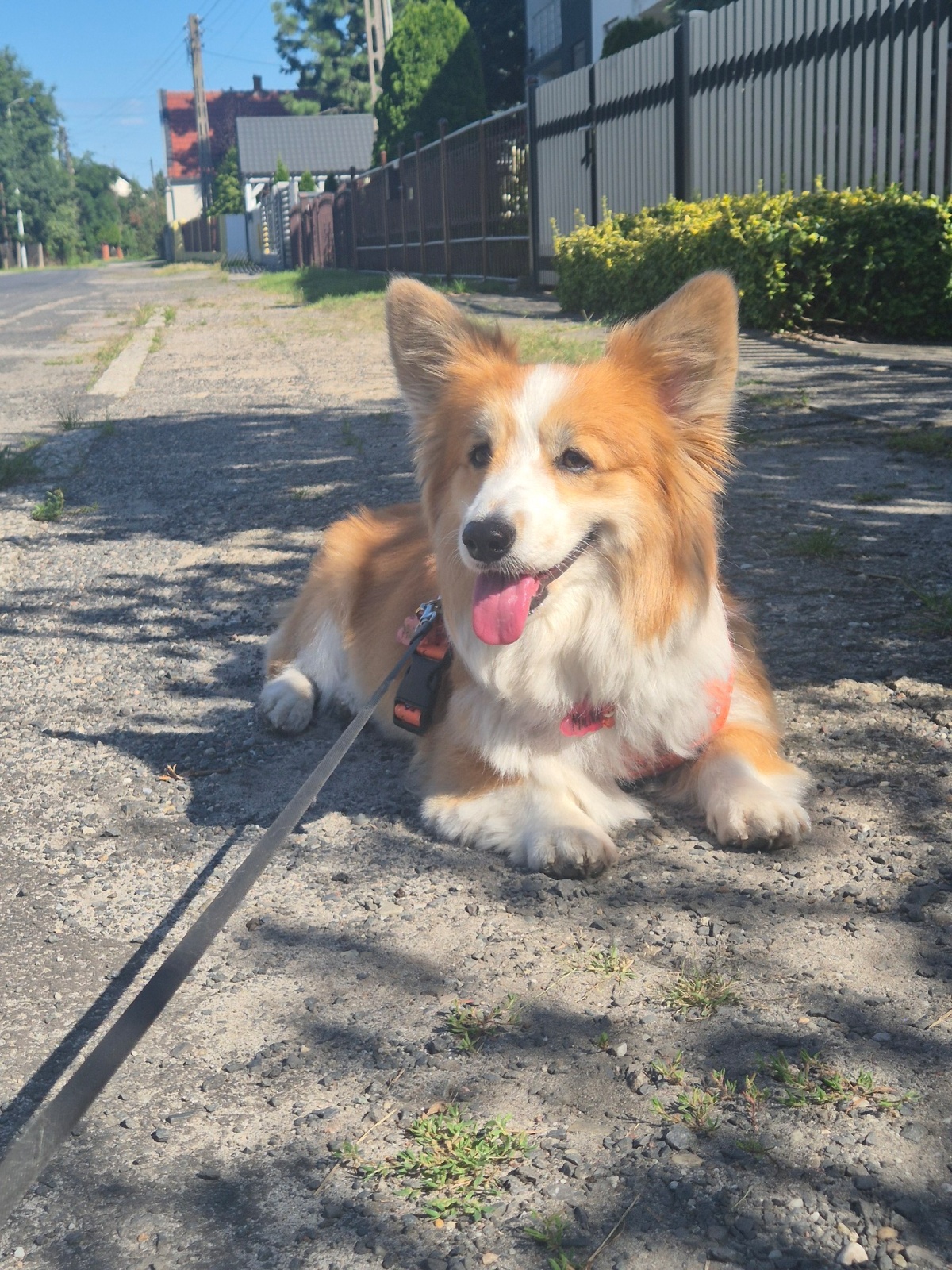 ecad0ff2-afd0-4a06-89eb-99a00d95935a