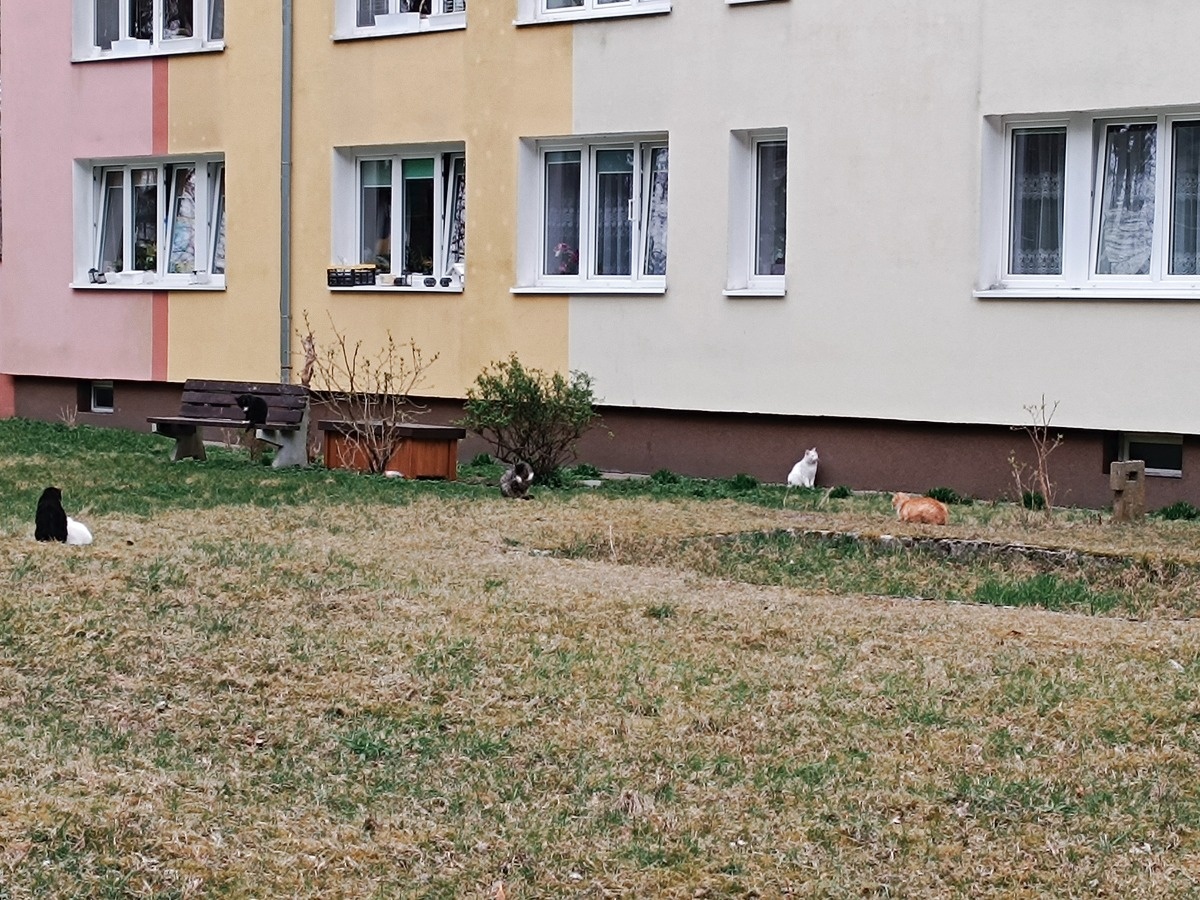 cb8dfe69-3444-417e-8689-65d5bba1fa22