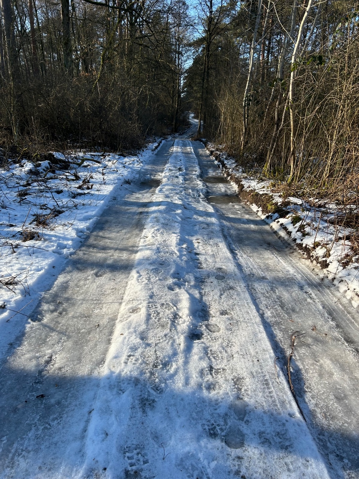 17ee1b39-f1cc-4443-b5ff-c266b7aa772f