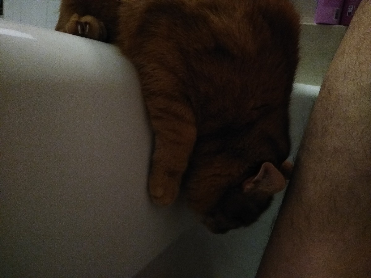 bb0847a0-7ce4-446b-9b89-b6396810bfd4