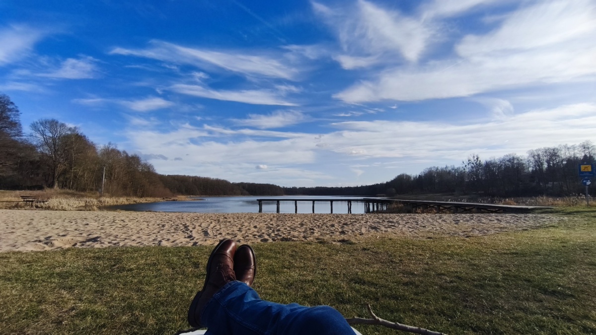 3265ea2c-e5a7-44e0-bd56-bc5b4b1ff294