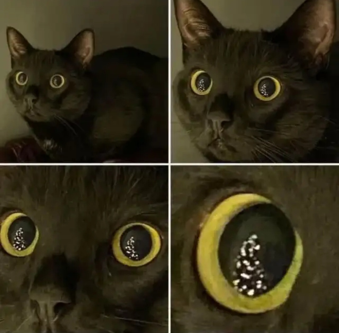 e479d02c-8a08-40d1-b74b-88ad800c6967