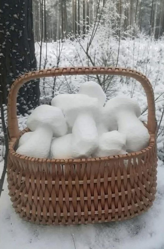 9303794b-4f6d-4a07-884f-8ca23fb6caef