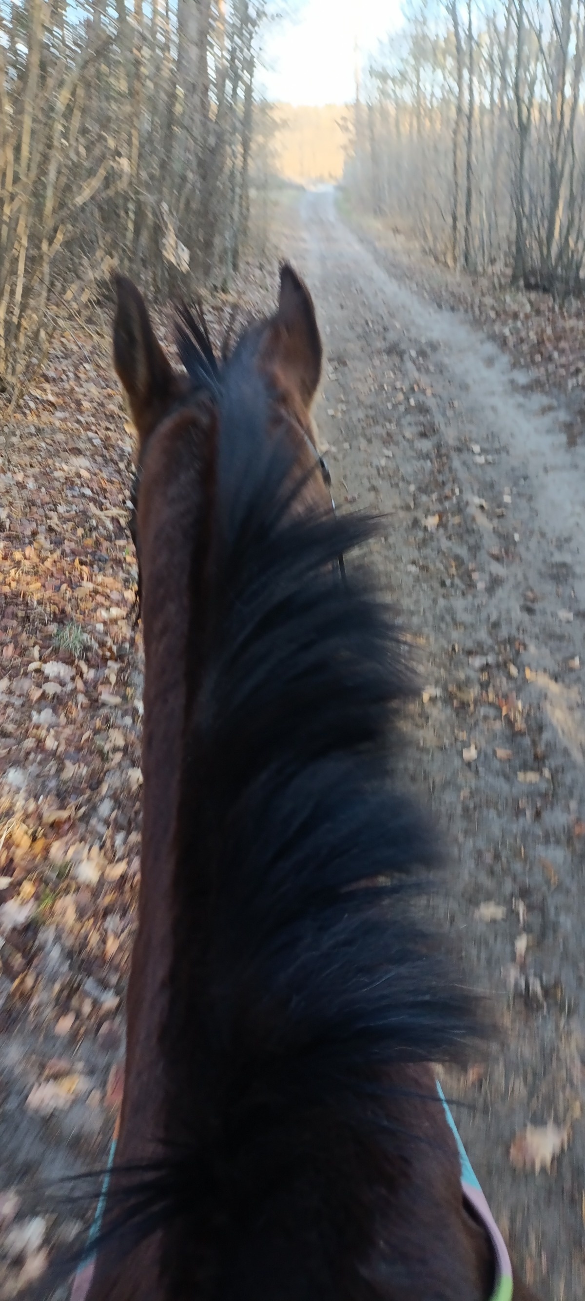 6e3b6db3-692f-4eab-9187-73cf2d4136b2