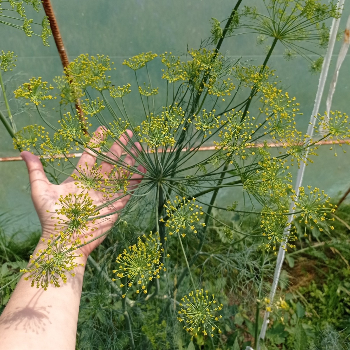 4a4bc1f5-15ec-4ae5-b04a-1eadcd0ef718