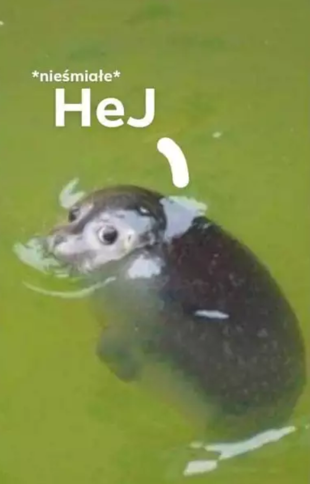 dba0ac2c-3276-4c33-8544-98b12c3cf3e7