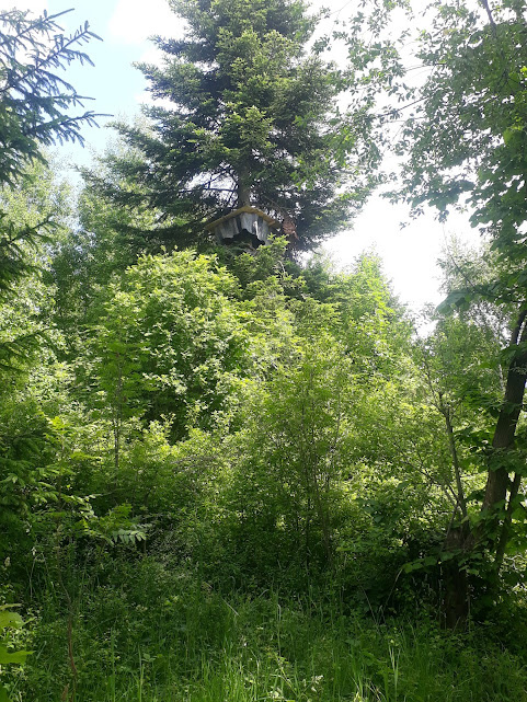 b0a32d66-0bc0-41a3-93c3-eb772ae3c2af