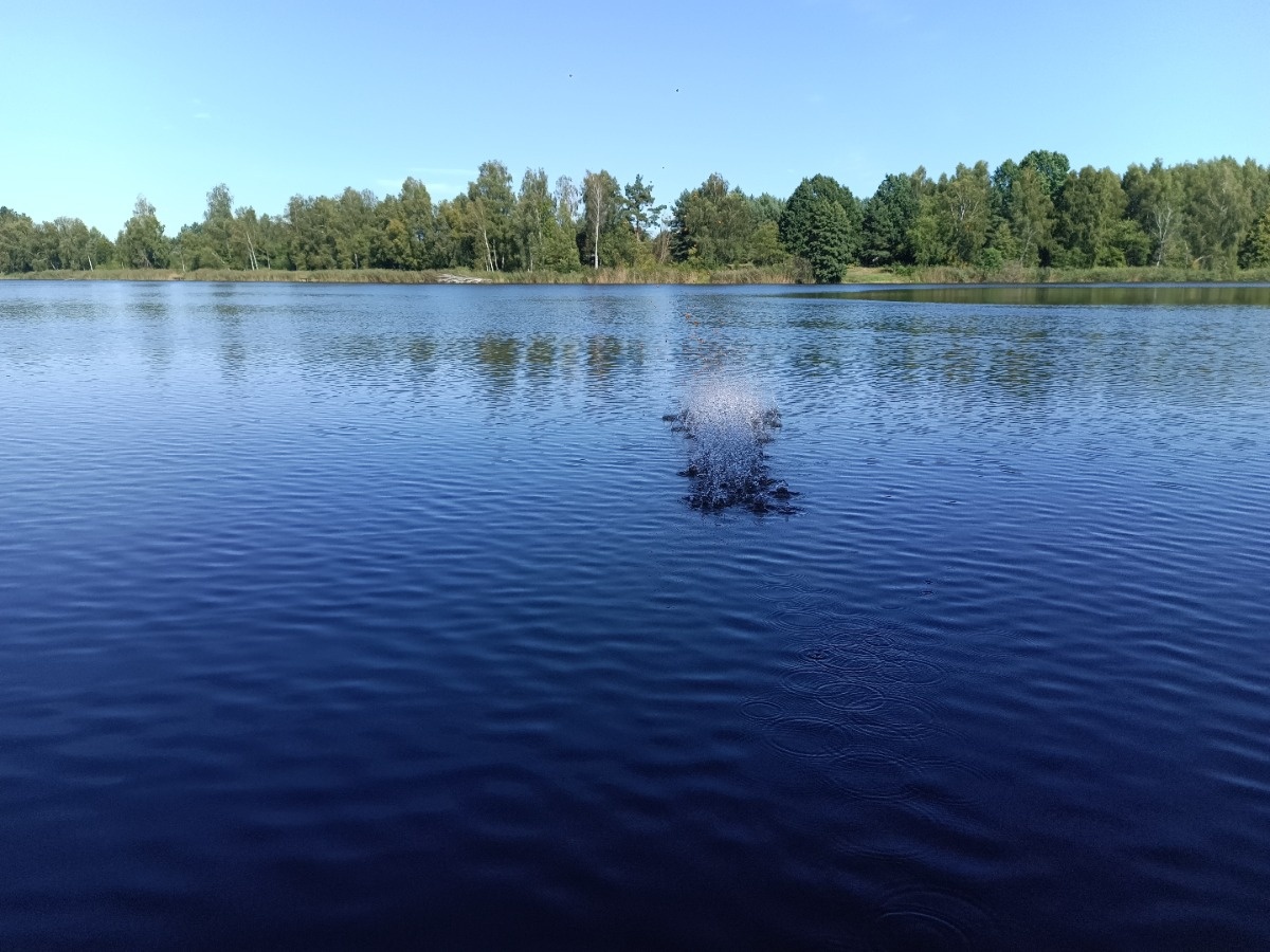 324cb4c2-07e4-4684-95f1-e7b5b82ac5d8