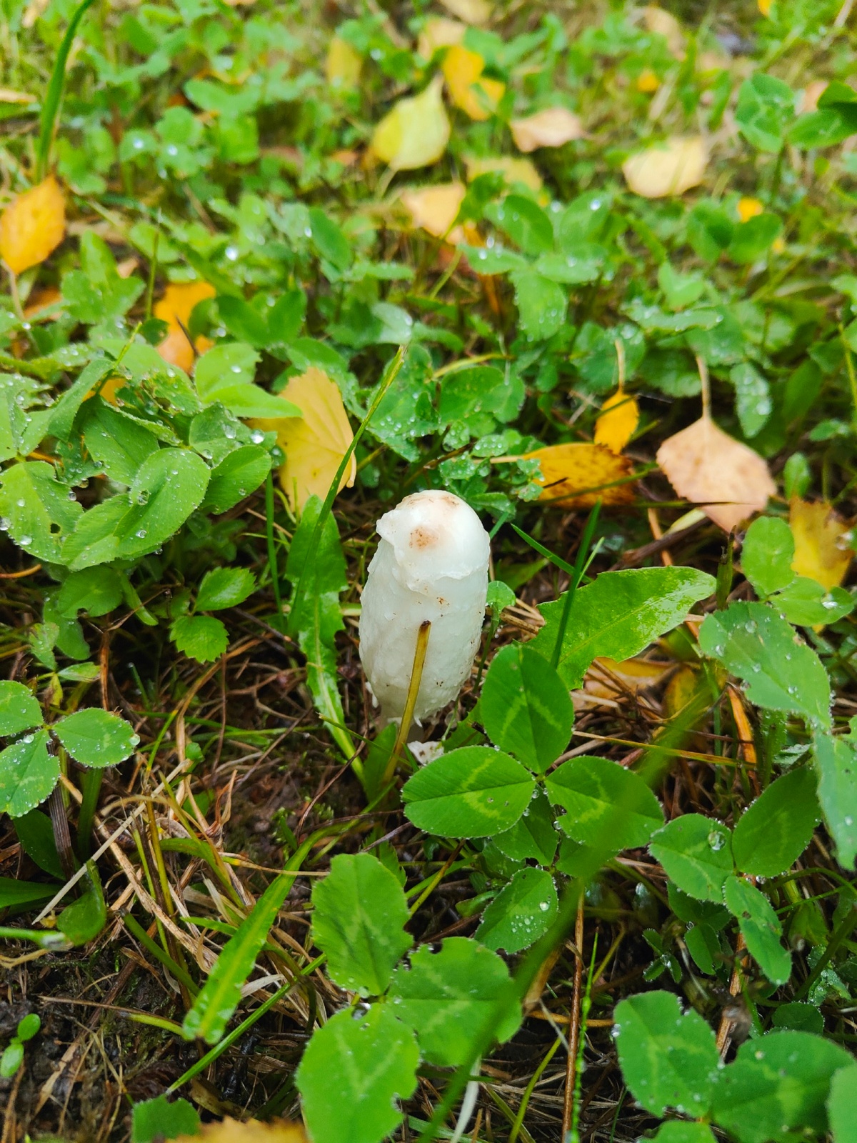 fc6c7d14-2e80-46a3-832d-84cabe3562ba